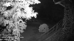 Snowparadise Veľká Rača - Dětská lyžařská školka - 28.7.2026 v 00:45