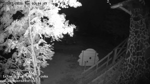 Snowparadise Veľká Rača - Dětská lyžařská školka - 28.7.2026 v 03:45