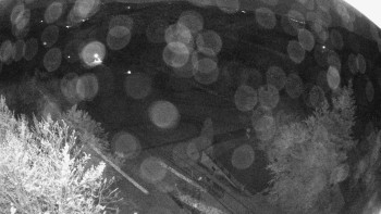 Snímek    13.5.2025 v 23:15
