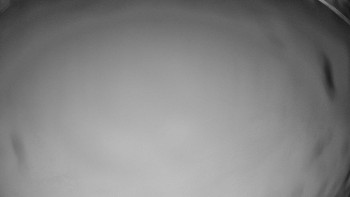 Snímek    19.10.2025 v 03:32