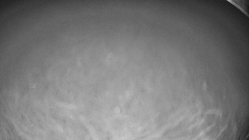 Snímek    27.10.2025 v 19:15