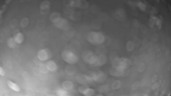 Snímek 17.11.2025 v 18:02