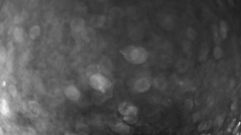 Snímek    19.11.2025 v 16:45