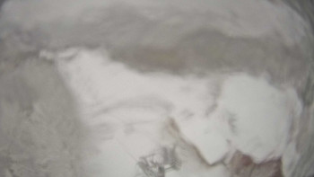 Snímek    23.11.2025 v 11:15