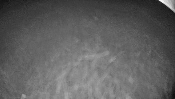 Snowparadise Veľká Rača