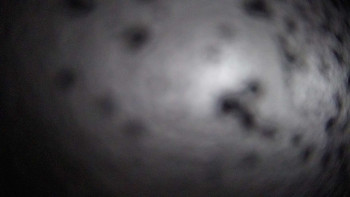 Snowparadise Veľká Rača