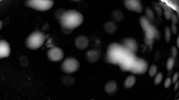 Snowparadise Veľká Rača