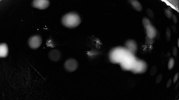 Snowparadise Veľká Rača