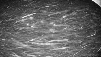 Snowparadise Veľká Rača