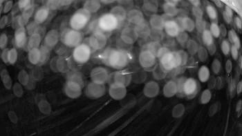 Snowparadise Veľká Rača