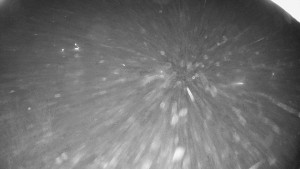 Snowparadise Veľká Rača - Dedovka vrchol - 7.1.2026 v 03:45