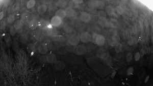 Snowparadise Veľká Rača - Dedovka vrchol - 7.1.2026 v 05:45