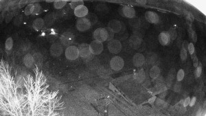 Snowparadise Veľká Rača - Dedovka vrchol - 8.4.2026 v 02:45