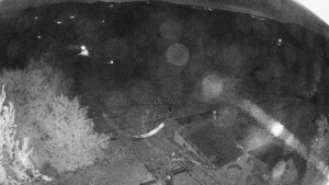 Snowparadise Veľká Rača - Dedovka vrchol - 19.9.2026 v 02:45