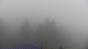 Snímek    4.7.2025 v 08:15
