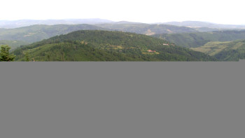 Snímek    5.7.2025 v 08:45