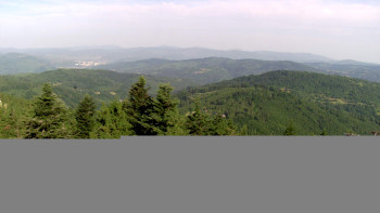 Snímek    6.7.2025 v 07:45