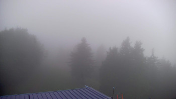 Snímek    15.9.2025 v 06:45