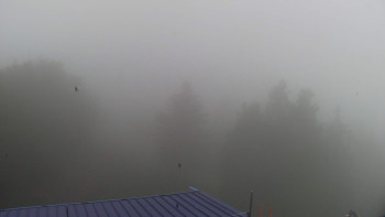 Snímek    14.10.2025 v 11:00