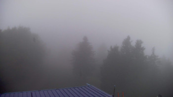 Snímek    15.10.2025 v 07:45