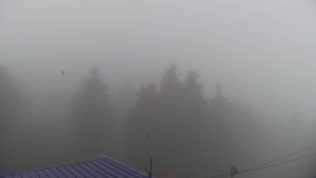 Snímek    15.10.2025 v 09:15