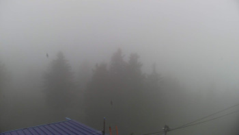 Snímek    18.10.2025 v 12:00