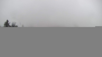 Snímek    24.10.2025 v 09:15