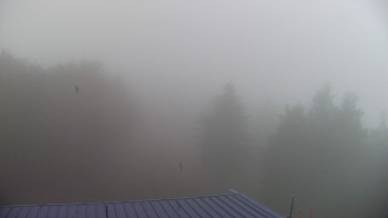 Snímek    29.10.2025 v 08:00