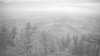 Snímek    1.11.2025 v 06:00