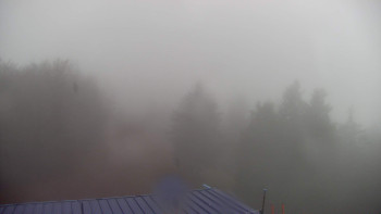 Snímek    3.11.2025 v 08:45