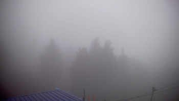 Snímek    4.11.2025 v 06:45