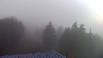 Snímek    4.11.2025 v 08:15