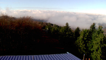 Snímek    4.11.2025 v 09:45