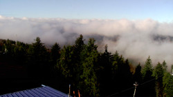 Lalíky vrcholová stanice