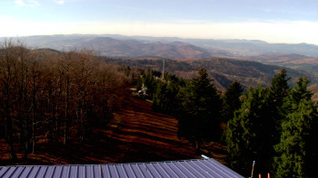 Snímek 5.11.2025 v 12:00