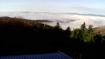 Snímek 14.11.2025 v 08:45