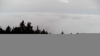 Snímek 15.11.2025 v 07:30