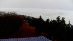 Lalíky vrcholová stanice