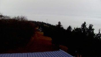 Snímek 15.11.2025 v 09:45