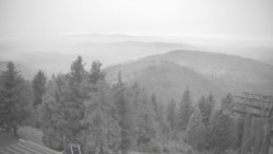 Lalíky vrcholová stanice