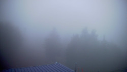 Lalíky vrcholová stanice