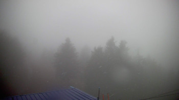 Snímek 17.11.2025 v 15:30