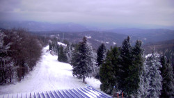 Lalíky vrcholová stanice