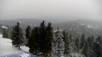 Snímek    20.11.2025 v 09:45