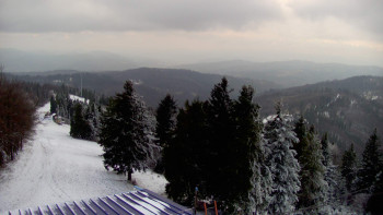 Snímek    20.11.2025 v 15:15