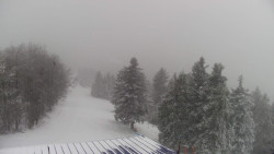 Lalíky vrcholová stanice