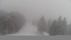 Lalíky vrcholová stanice