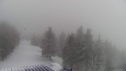 Lalíky vrcholová stanice