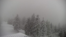 Lalíky vrcholová stanice