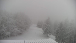 Lalíky vrcholová stanice